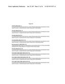 ANTIBODIES WITH MODIFIED ISOELECTRIC POINTS diagram and image