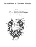 ANTIBODIES WITH MODIFIED ISOELECTRIC POINTS diagram and image