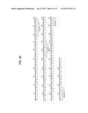 MONOCLONAL ANTIBODIES TO PROGASTRIN AND THEIR USES diagram and image