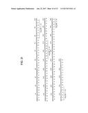 MONOCLONAL ANTIBODIES TO PROGASTRIN AND THEIR USES diagram and image