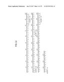 MONOCLONAL ANTIBODIES TO PROGASTRIN AND THEIR USES diagram and image