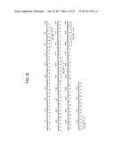 MONOCLONAL ANTIBODIES TO PROGASTRIN AND THEIR USES diagram and image