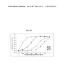 MONOCLONAL ANTIBODIES TO PROGASTRIN AND THEIR USES diagram and image