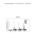 MONOCLONAL ANTIBODIES TO PROGASTRIN AND THEIR USES diagram and image