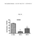 MONOCLONAL ANTIBODIES TO PROGASTRIN AND THEIR USES diagram and image