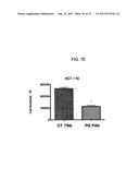 MONOCLONAL ANTIBODIES TO PROGASTRIN AND THEIR USES diagram and image