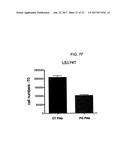 MONOCLONAL ANTIBODIES TO PROGASTRIN AND THEIR USES diagram and image