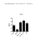 MONOCLONAL ANTIBODIES TO PROGASTRIN AND THEIR USES diagram and image