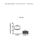 MONOCLONAL ANTIBODIES TO PROGASTRIN AND THEIR USES diagram and image