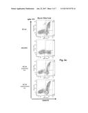 POLYNUCLEOTIDES ENCODING RODENT ANTIBODIES WITH HUMAN IDIOTYPES AND     ANIMALS COMPRISING SAME diagram and image