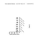 Combination of Anti-PD-1 Antibodies and Anti-CD20/Anti-CD3 Antibodies to     Treat Cancer diagram and image