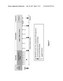 Combination of Anti-PD-1 Antibodies and Anti-CD20/Anti-CD3 Antibodies to     Treat Cancer diagram and image