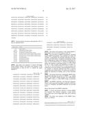 COMBINATION OF A JAK INHIBITOR AND AN MMP9 BINDING PROTEIN FOR TREATING     INFLAMMATORY DISORDERS diagram and image