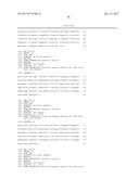 COMBINATION OF A JAK INHIBITOR AND AN MMP9 BINDING PROTEIN FOR TREATING     INFLAMMATORY DISORDERS diagram and image