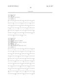 COMBINATION OF A JAK INHIBITOR AND AN MMP9 BINDING PROTEIN FOR TREATING     INFLAMMATORY DISORDERS diagram and image