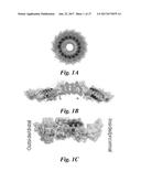 Incorporation of Plant Virus Particles and Polymers as 2D and 3D Scaffolds     to Manipulate Cellular Behaviors diagram and image