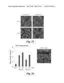 Incorporation of Plant Virus Particles and Polymers as 2D and 3D Scaffolds     to Manipulate Cellular Behaviors diagram and image