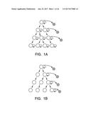 ISOLATION AND USE OF SOLID TUMOR STEM CELLS diagram and image