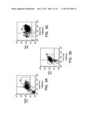 ISOLATION AND USE OF SOLID TUMOR STEM CELLS diagram and image