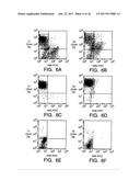 ISOLATION AND USE OF SOLID TUMOR STEM CELLS diagram and image