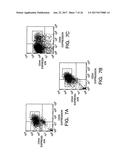 ISOLATION AND USE OF SOLID TUMOR STEM CELLS diagram and image