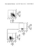 ISOLATION AND USE OF SOLID TUMOR STEM CELLS diagram and image