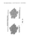 ISOLATION AND USE OF SOLID TUMOR STEM CELLS diagram and image