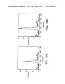 ISOLATION AND USE OF SOLID TUMOR STEM CELLS diagram and image