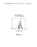 ISOLATION AND USE OF SOLID TUMOR STEM CELLS diagram and image