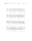 THERMUS BROCKIANUS NUCLEIC ACID POLYMERASES diagram and image