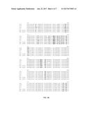 THERMUS BROCKIANUS NUCLEIC ACID POLYMERASES diagram and image