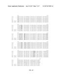 THERMUS BROCKIANUS NUCLEIC ACID POLYMERASES diagram and image