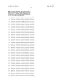 THERMUS BROCKIANUS NUCLEIC ACID POLYMERASES diagram and image