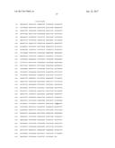 THERMUS BROCKIANUS NUCLEIC ACID POLYMERASES diagram and image