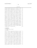 THERMUS BROCKIANUS NUCLEIC ACID POLYMERASES diagram and image