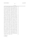 THERMUS BROCKIANUS NUCLEIC ACID POLYMERASES diagram and image