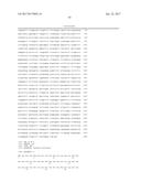 THERMUS BROCKIANUS NUCLEIC ACID POLYMERASES diagram and image