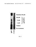 METHOD FOR TREATING FIBROSIS USING SIRNA AND A RETINOID-LIPID DRUG CARRIER diagram and image