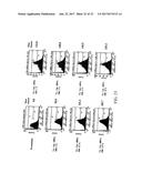 METHOD FOR TREATING FIBROSIS USING SIRNA AND A RETINOID-LIPID DRUG CARRIER diagram and image