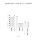 METHOD FOR TREATING FIBROSIS USING SIRNA AND A RETINOID-LIPID DRUG CARRIER diagram and image