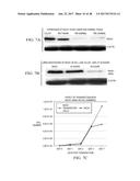 INDIVIDUALIZED CANCER THERAPY diagram and image