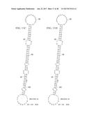 INDIVIDUALIZED CANCER THERAPY diagram and image