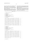 COMPOSITIONS AND METHODS FOR THE SUPPRESSION OF TARGET POLYNUCLEOTIDES     FROM LEPIDOPTERA diagram and image