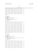 COMPOSITIONS AND METHODS FOR THE SUPPRESSION OF TARGET POLYNUCLEOTIDES     FROM LEPIDOPTERA diagram and image