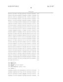 METHODS FOR USING A 5 -EXONUCLEASE TO INCREASE HOMOLOGOUS RECOMBINATION IN     EUKARYOTIC CELLS diagram and image