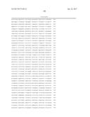 METHODS FOR USING A 5 -EXONUCLEASE TO INCREASE HOMOLOGOUS RECOMBINATION IN     EUKARYOTIC CELLS diagram and image