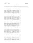 METHODS FOR USING A 5 -EXONUCLEASE TO INCREASE HOMOLOGOUS RECOMBINATION IN     EUKARYOTIC CELLS diagram and image