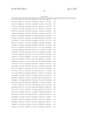 METHODS FOR USING A 5 -EXONUCLEASE TO INCREASE HOMOLOGOUS RECOMBINATION IN     EUKARYOTIC CELLS diagram and image