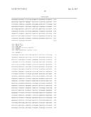 METHODS FOR USING A 5 -EXONUCLEASE TO INCREASE HOMOLOGOUS RECOMBINATION IN     EUKARYOTIC CELLS diagram and image