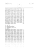 METHODS FOR USING A 5 -EXONUCLEASE TO INCREASE HOMOLOGOUS RECOMBINATION IN     EUKARYOTIC CELLS diagram and image